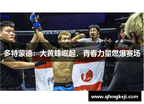 多特蒙德：大黄蜂崛起，青春力量燃爆赛场